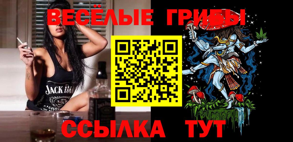 Псилоцибиновые грибы Cubensis Лысьва