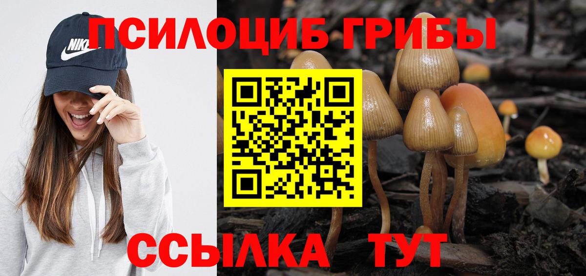 Псилоцибиновые грибы мицелий  Вход с VPN  продажа наркотиков  Лысьва 